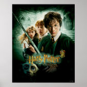 Harry Potter Ron Hermione Dobby Group Shot Poster (Vorne)