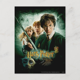 Harry Potter Ron Hermione Dobby Group Shot Postkarte