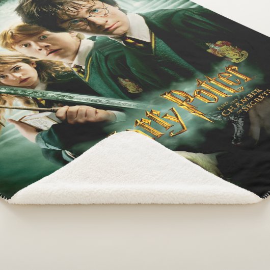 Harry Potter Ron Hermione Dobby Group Shot Sherpadecke (3/4)