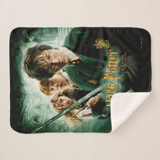 Harry Potter Ron Hermione Dobby Group Shot Sherpadecke (Vorderseite (Horizontal))