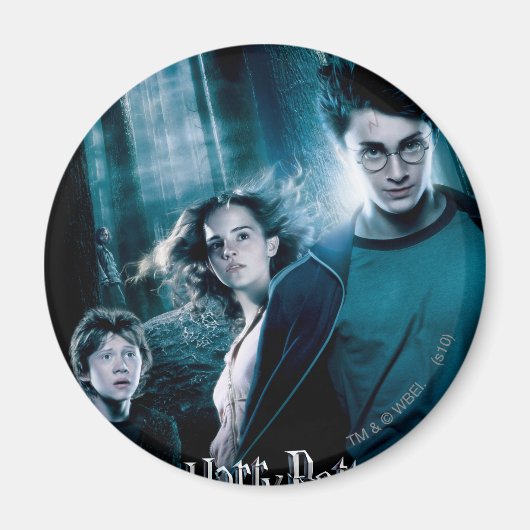 Harry Potter Ron Hermione im Wald Magnet (Vorne)