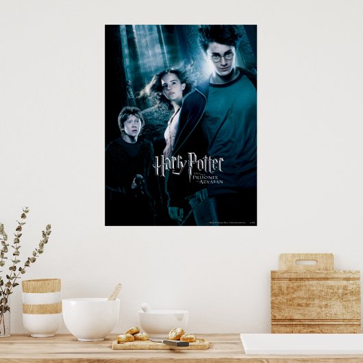 Harry Potter Ron Hermione im Wald Poster (Küche)