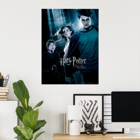 Harry Potter Ron Hermione im Wald Poster (Heimbüro)