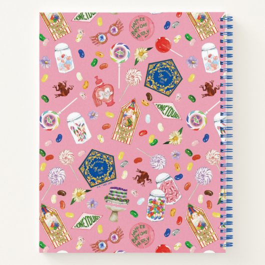 HARRY POTTER™ | Schokoladenfrosch und -muster Notizblock (Rückseite)