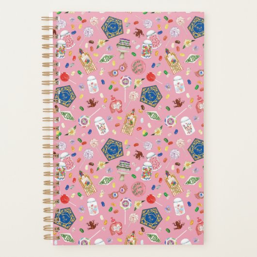 HARRY POTTER™ | Schokoladenfrosch und -muster Planer (Vorderseite)