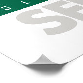 Harry Potter | SLYTHERIN™ House Quidditch Search Poster (Ecke)