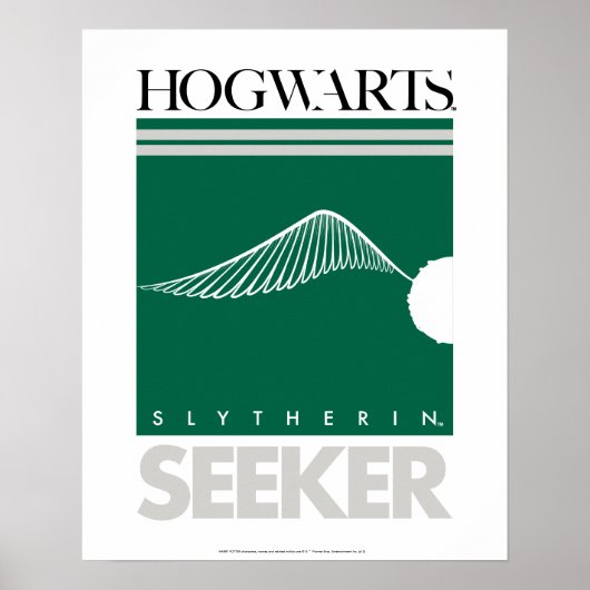 Harry Potter | SLYTHERIN™ House Quidditch Search Poster (Vorne)