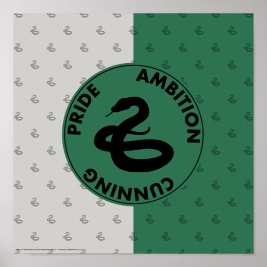 Harry Potter | SLYTHERIN™ House Traits Graphic Poster (Vorne)
