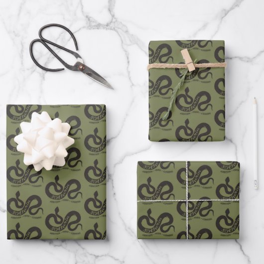 Harry Potter | SLYTHERIN™ Silhouette Typografie Geschenkpapier Set (Vorderseite)