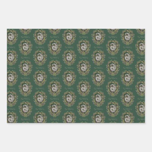 HARRY POTTER™ | SLYTHERIN™ Wappen Geschenkpapier Set (Vorderseite)