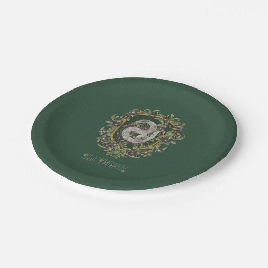 HARRY POTTER™ | SLYTHERIN™ Wappen Pappteller (Schrägansicht)