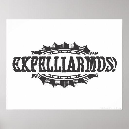 Harry Potter Spell | Expelliarmus! Poster (Vorne)