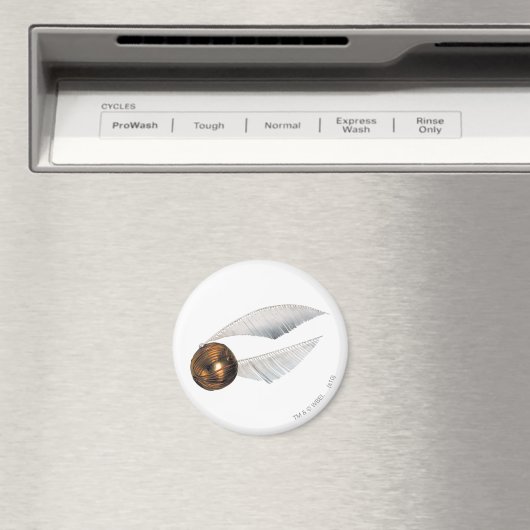 Harry Potter Spell | Goldener Spieß Magnet (In Situ (Geschirrspüler))