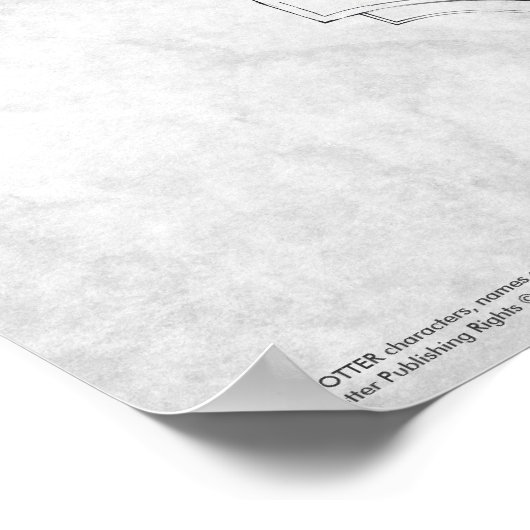 Harry Potter Spell | Harry's Wand Infografik Poster (Ecke)