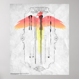 Harry Potter Spell   Harry's Wand Infografik Poster