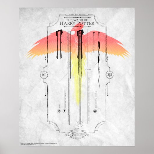 Harry Potter Spell | Harry's Wand Infografik Poster (Vorne)