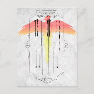 Harry Potter Spell   Harry's Wand Infografik Postkarte