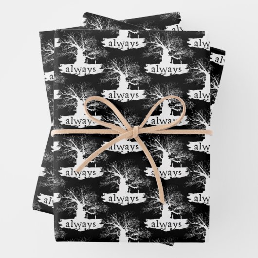 Harry Potter Spell | Immer Silhouette angeben Geschenkpapier Set (Beispiel)