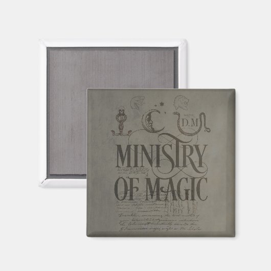 Harry Potter Spell | MINISTERIUM DER MAGIE Magnet (Vorderseite/Rückseite)