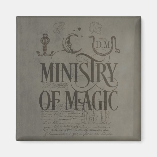 Harry Potter Spell | MINISTERIUM DER MAGIE Magnet (Vorne)