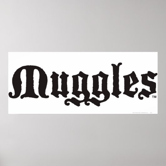 Harry Potter Spell | Muggles Poster (Vorne)