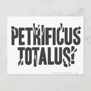 Harry Potter Spell Petrificus Totalus! Postkarte