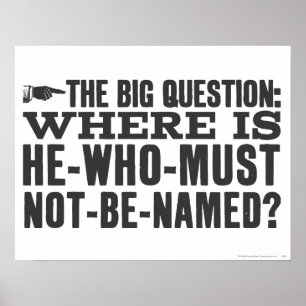 Harry Potter Spell   Wo ist Voldermort? Poster