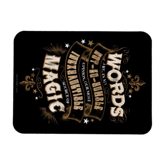 Harry Potter Spell | Worte sind unsere besten Wort Magnet (Horizontal)