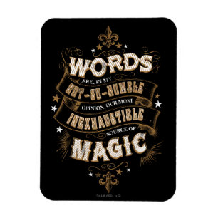 Harry Potter Spell   Worte sind unsere besten Wort Magnet