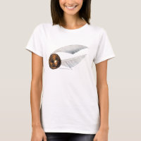 Harry Potter SpellGolden Snitch |