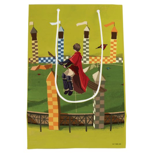 HARRY POTTER™ Suche nach dem goldenen Schnabel Mittlere Geschenktüte (Rückseite)