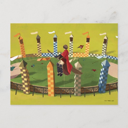 HARRY POTTER™ Suche nach dem goldenen Schnabel Postkarte (Vorderseite)