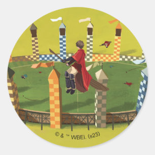 HARRY POTTER™ Suche nach dem goldenen Schnabel Runder Aufkleber