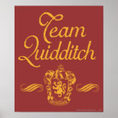 Harry Potter | Team QUIDDITCH™ Poster (Vorne)