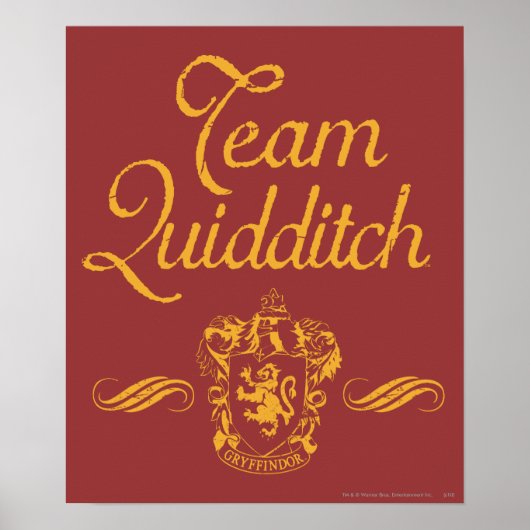 Harry Potter | Team QUIDDITCH™ Poster (Vorne)