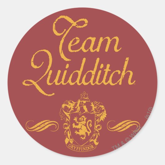 Harry Potter | Team QUIDDITCH™ Runder Aufkleber (Vorderseite)