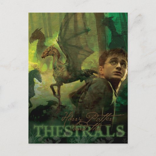 Harry Potter Thestrals Postkarte (Vorderseite)