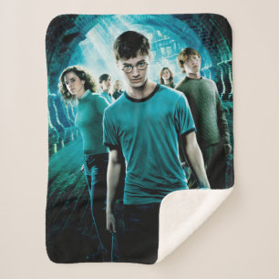 HARRY POTTER UND DIE BESTELLUNG DES PHOENIX™ Blue Sherpadecke