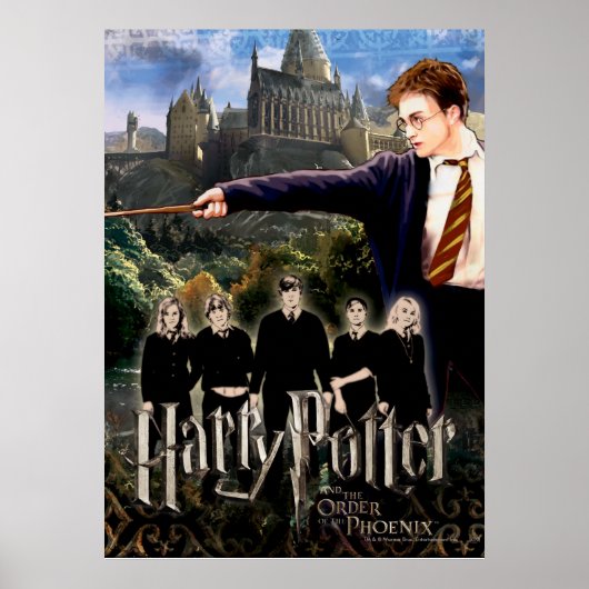 HARRY POTTER UND DIE BESTELLUNG DES PHOENIX™ POSTER (Vorne)