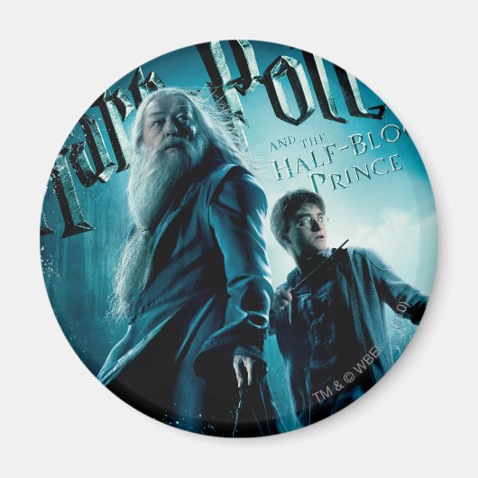 Harry Potter und Dumbledore auf Felsen 1 Magnet (Vorne)