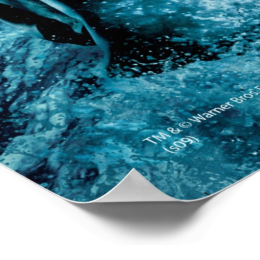 Harry Potter und Dumbledore auf Felsen 1 Poster (Ecke)