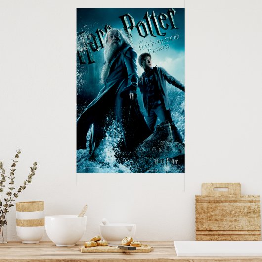 Harry Potter und Dumbledore auf Felsen 1 Poster (Küche)