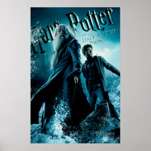 Harry Potter und Dumbledore auf Felsen 1 Poster
