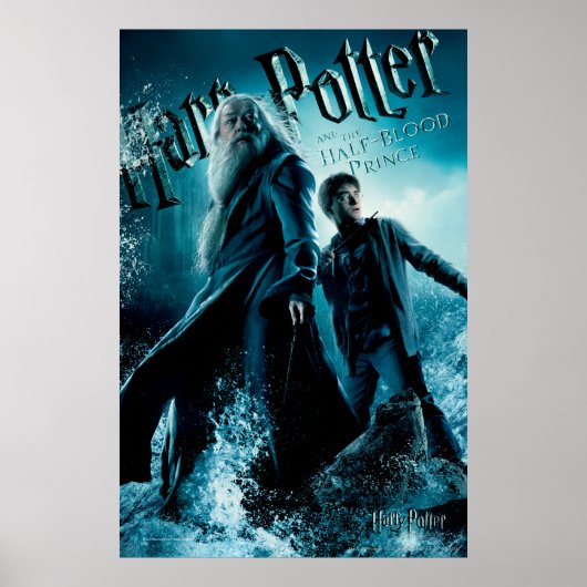 Harry Potter und Dumbledore auf Felsen 1 Poster (Vorne)