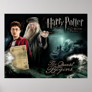 Harry Potter und Dumbledore Poster