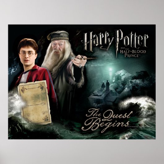 Harry Potter und Dumbledore Poster (Vorne)