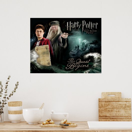 Harry Potter und Dumbledore Poster (Küche)