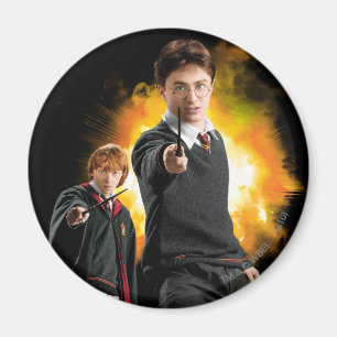 Harry Potter und Ron Weasely Magnet