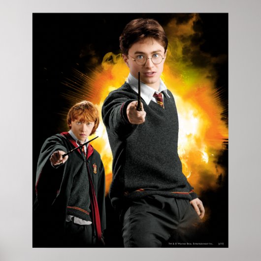 Harry Potter und Ron Weasely Poster (Vorne)