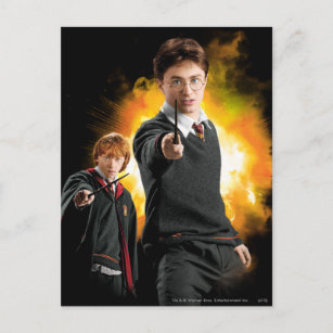 Harry Potter und Ron Weasely Postkarte
